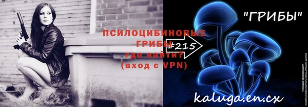 индика Лагань