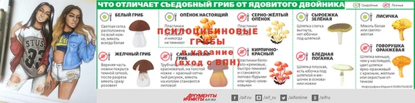 индика Лагань