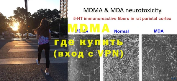 индика Лагань