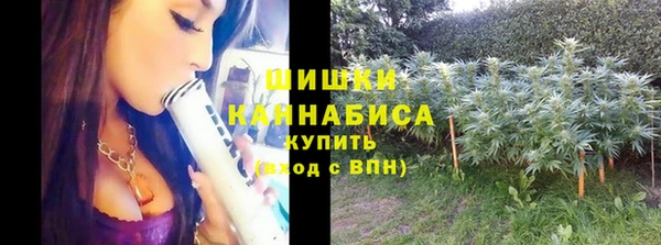 круглые Ладушкин