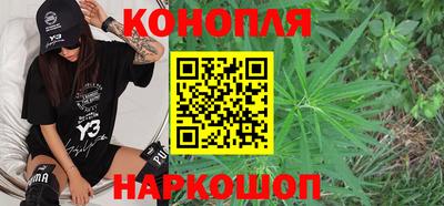 крисы Коммунар