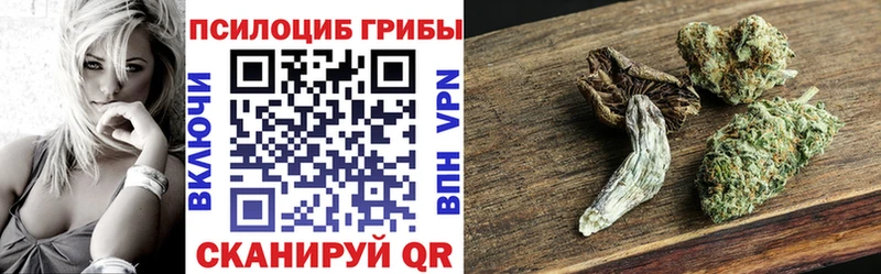 Псилоцибиновые грибы прущие грибы  Мирный 