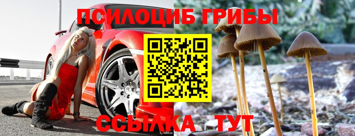 Псилоцибиновые грибы Psilocybe  Псилоцибиновые грибы Psilocybine cubensis  Мирный 