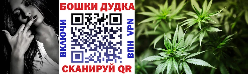 Марихуана OG Kush  закладки  Мирный 